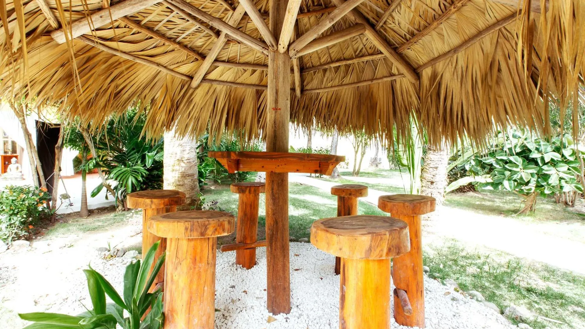 ***** Hotel Grand Caribe Suites Playa Los Corales Punta Cana República Dominicana