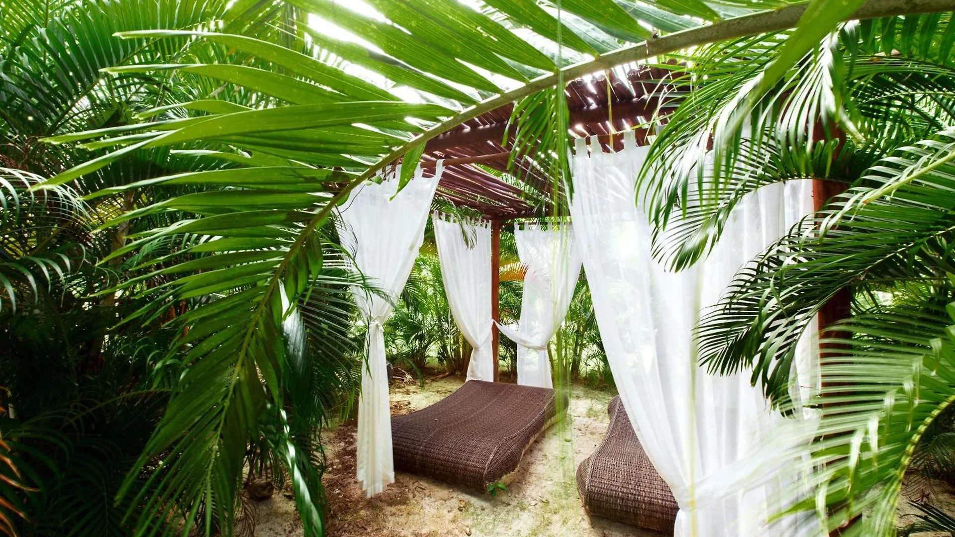 Grand Caribe Suites Playa Los Corales Punta Cana República Dominicana